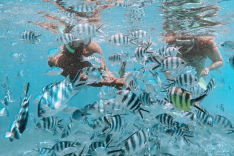 Le - A3 * Blue Bay